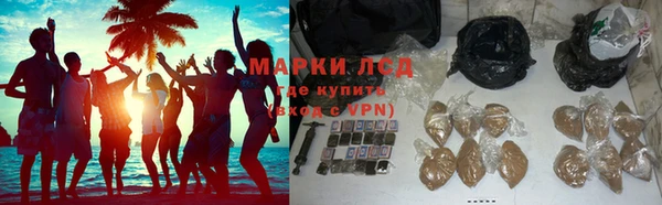 дживик Тутаев